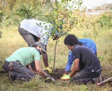 Riverfront-North-Tree-Planting-4