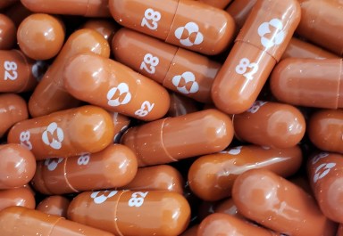 FILE PHOTO: A handout photo of an experimental COVID-19 treatment pill, called molnupiravir and being developed by Merck & Co Inc and Ridgeback Biotherapeutics LP