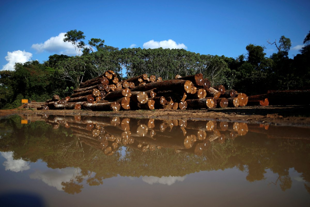 Piles of legal wood are seen in a wood company warehouse in the Amazon rainforest