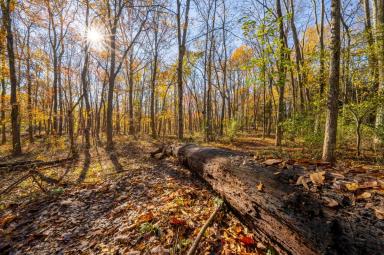 Evansburg State Park