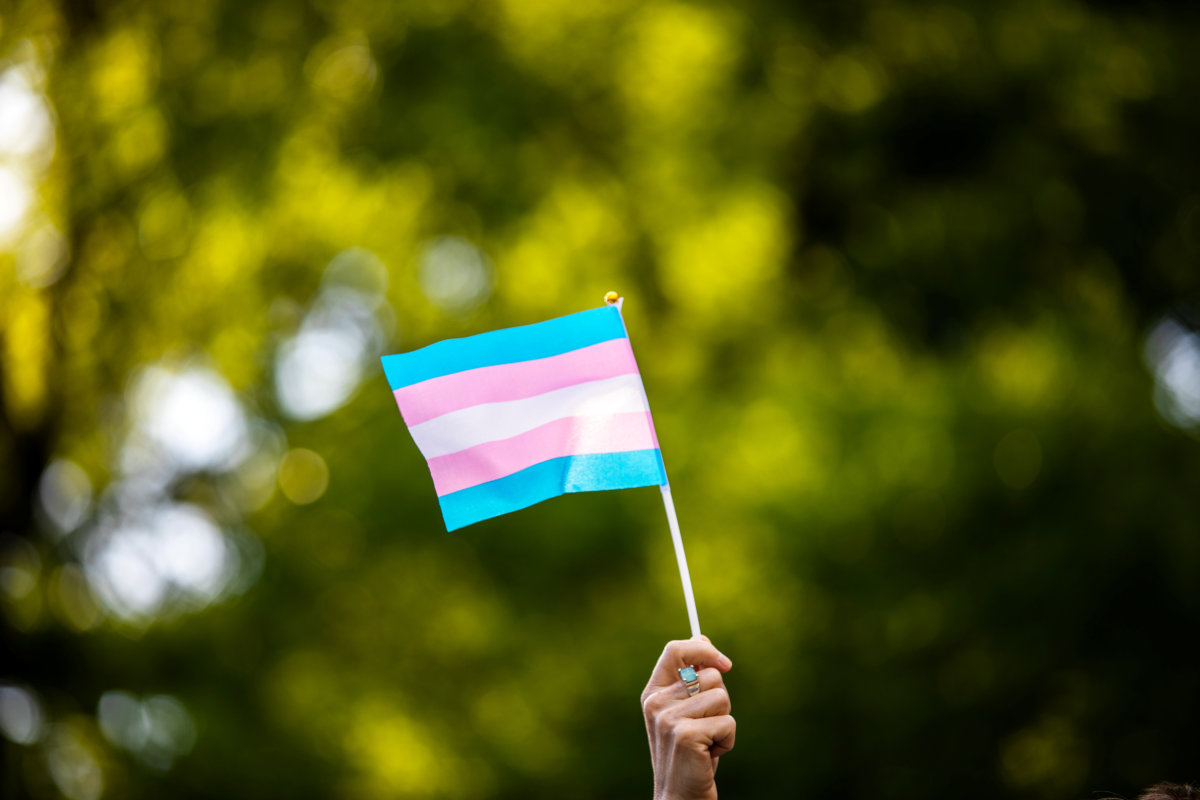 FILE PHOTO: Transgender rights activist waves a transgender flag at a rally in Washington Square Park in New York