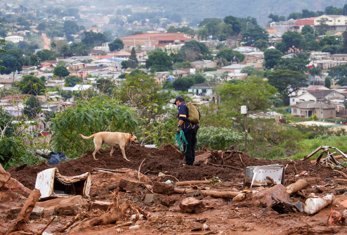 A search and rescue team member uses a dog to search for bodies in Dassenhoek near Durban