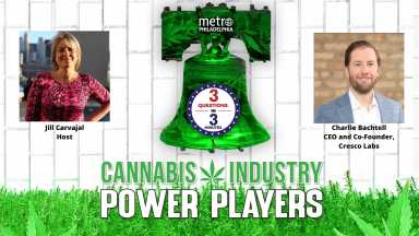 Cannabis