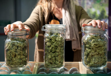 Glass jar full of Cannabis Sativa