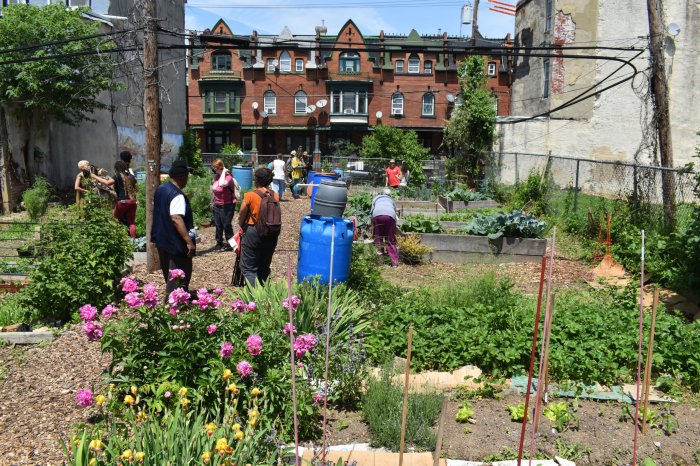 community garden