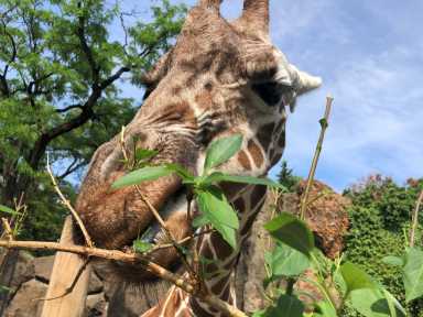 Philadelphia Zoo