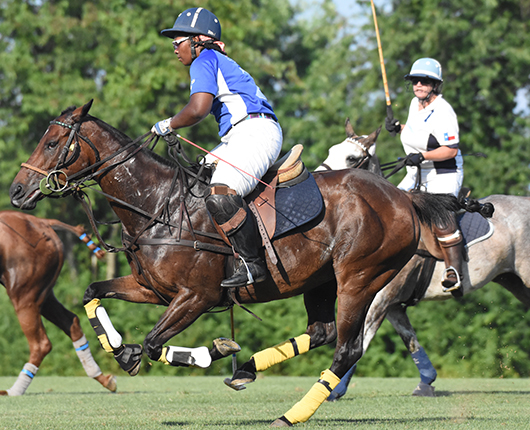 Philadelphia Polo Classic