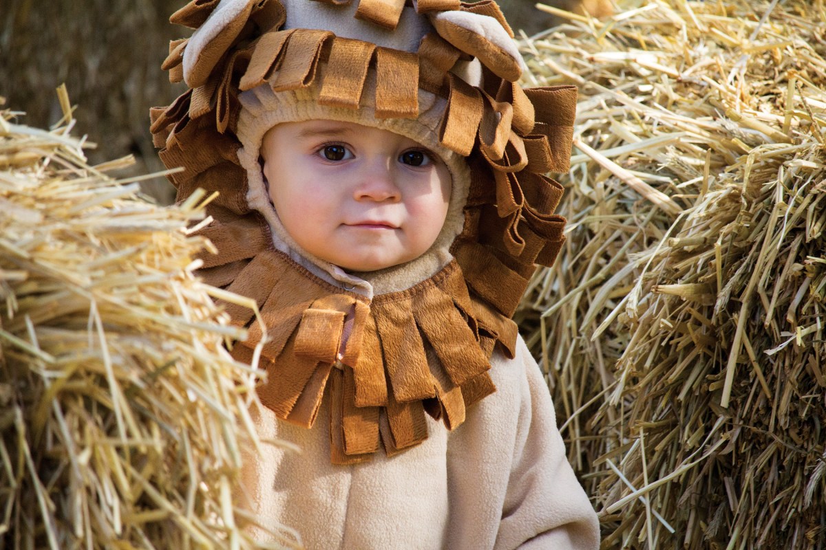 Boo at the Zoo