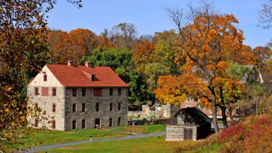 fall foliage