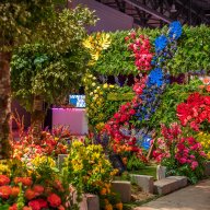 Philadelphia Flower Show