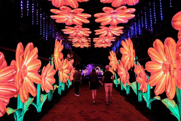 Philadelphia Chinese Lantern Festival, things to do in Philly