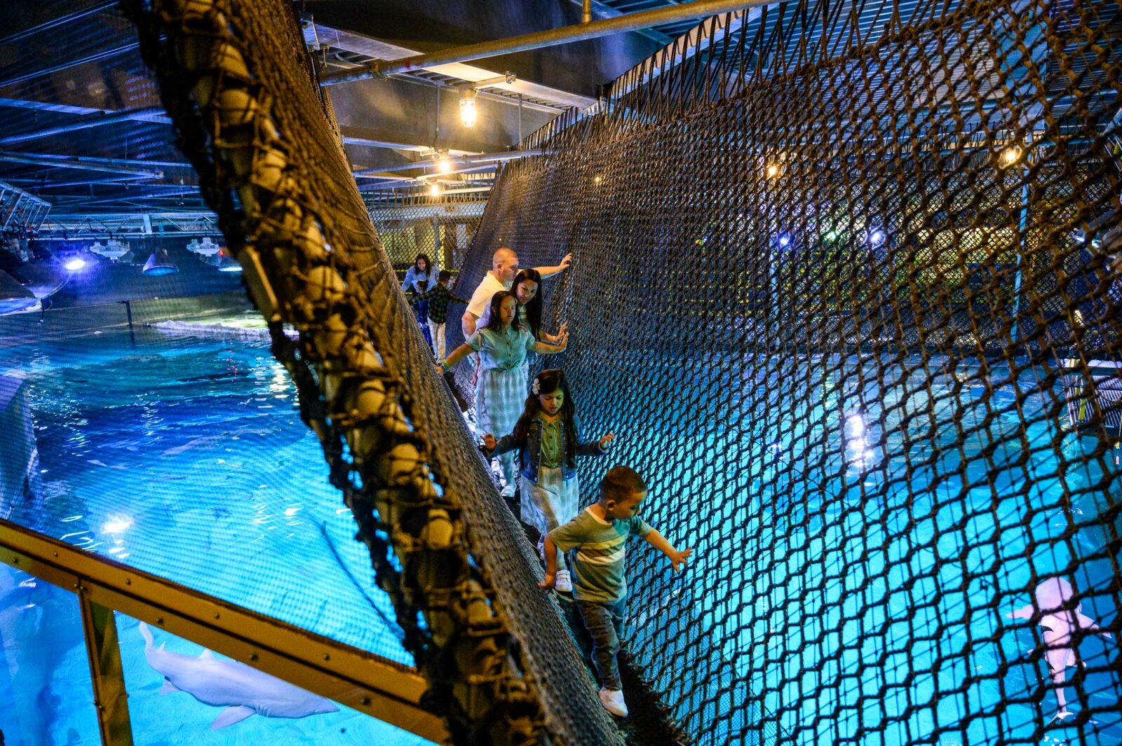 Shark Summer is back at the Camden Adventure Aquarium in 2023 – Metro ...