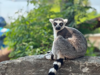 Philadelphia Zoo