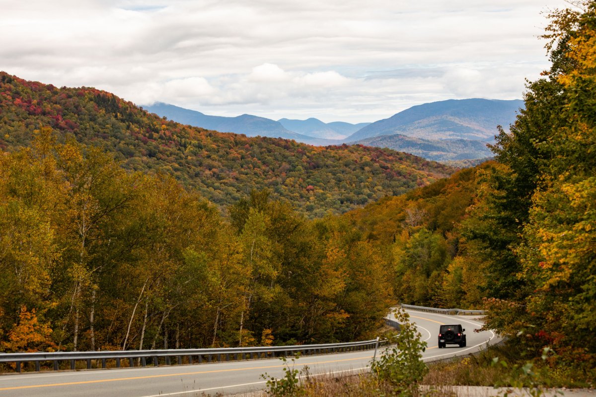 leaf peeping in Philadelphia