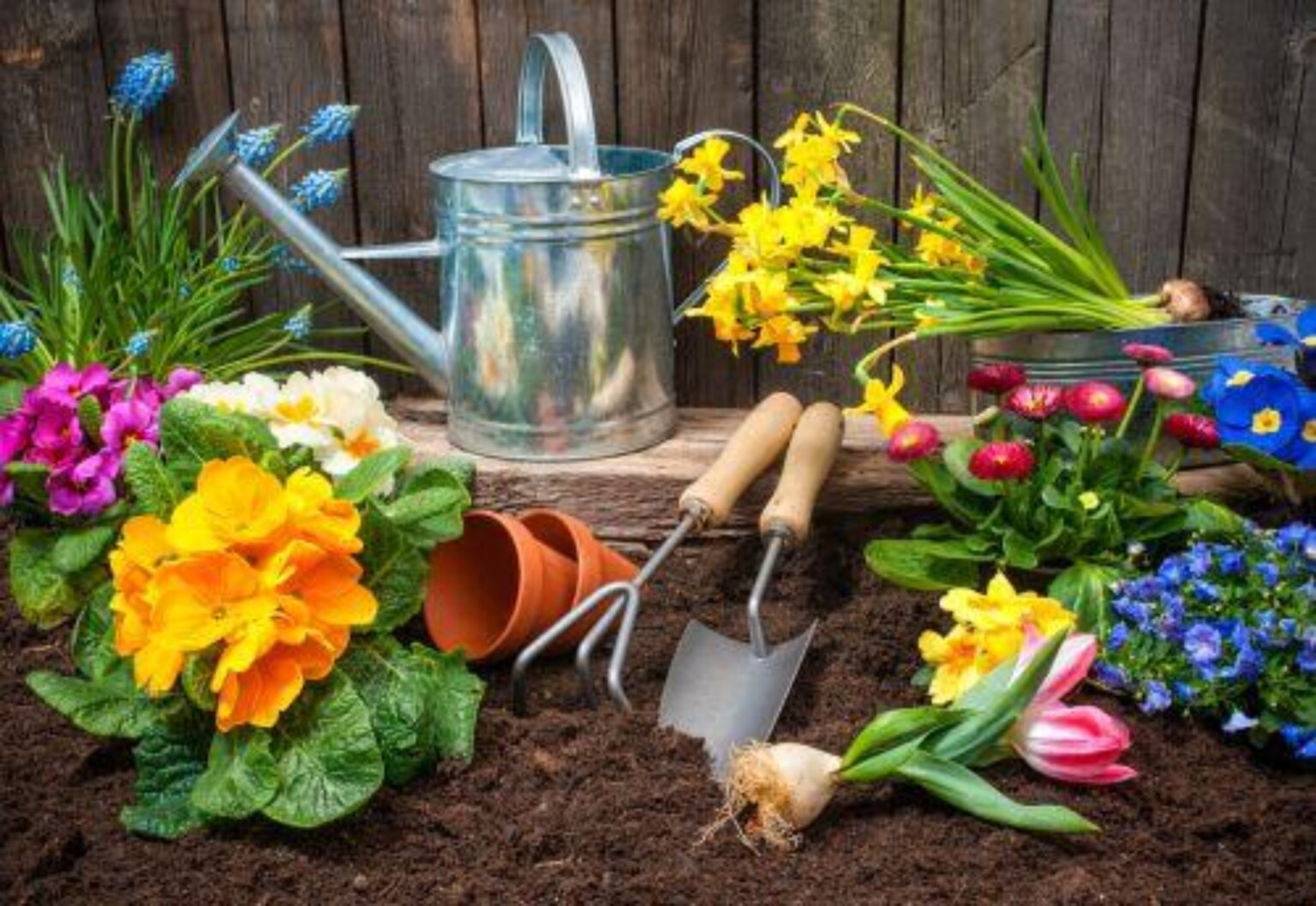 fresh-details-for-the-philly-home-garden-show-2024-metro-philadelphia