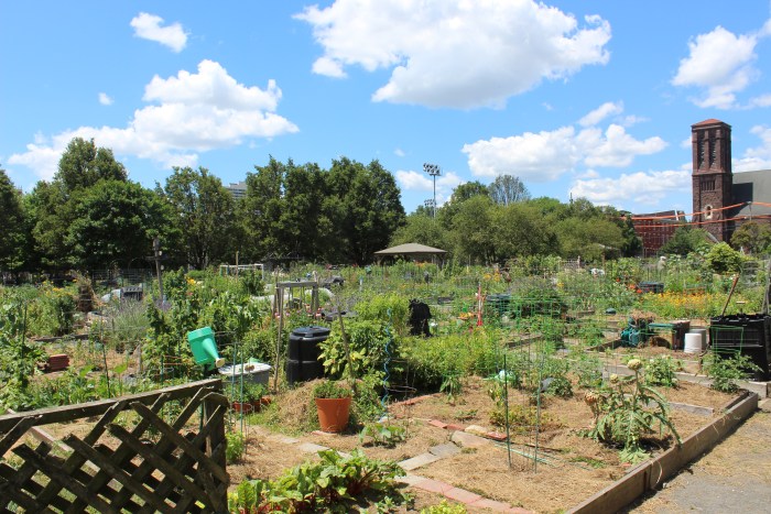 Latiné garden