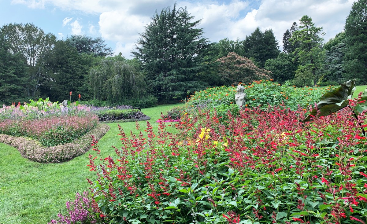 Morris Arboretum