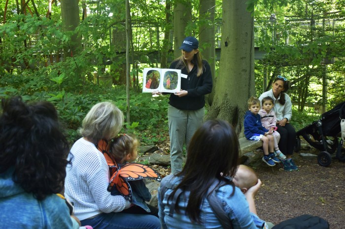 Morris Arboretum