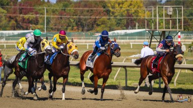 horse racing