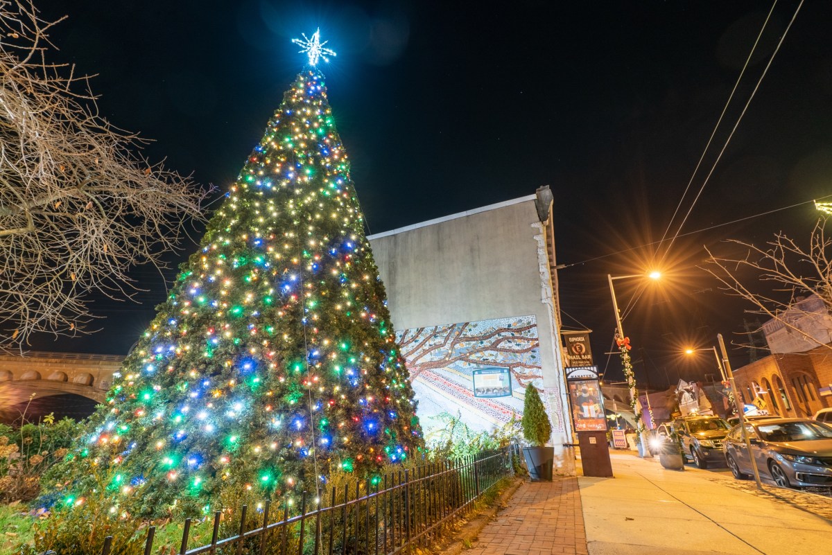 tree lightings in Philadelphia