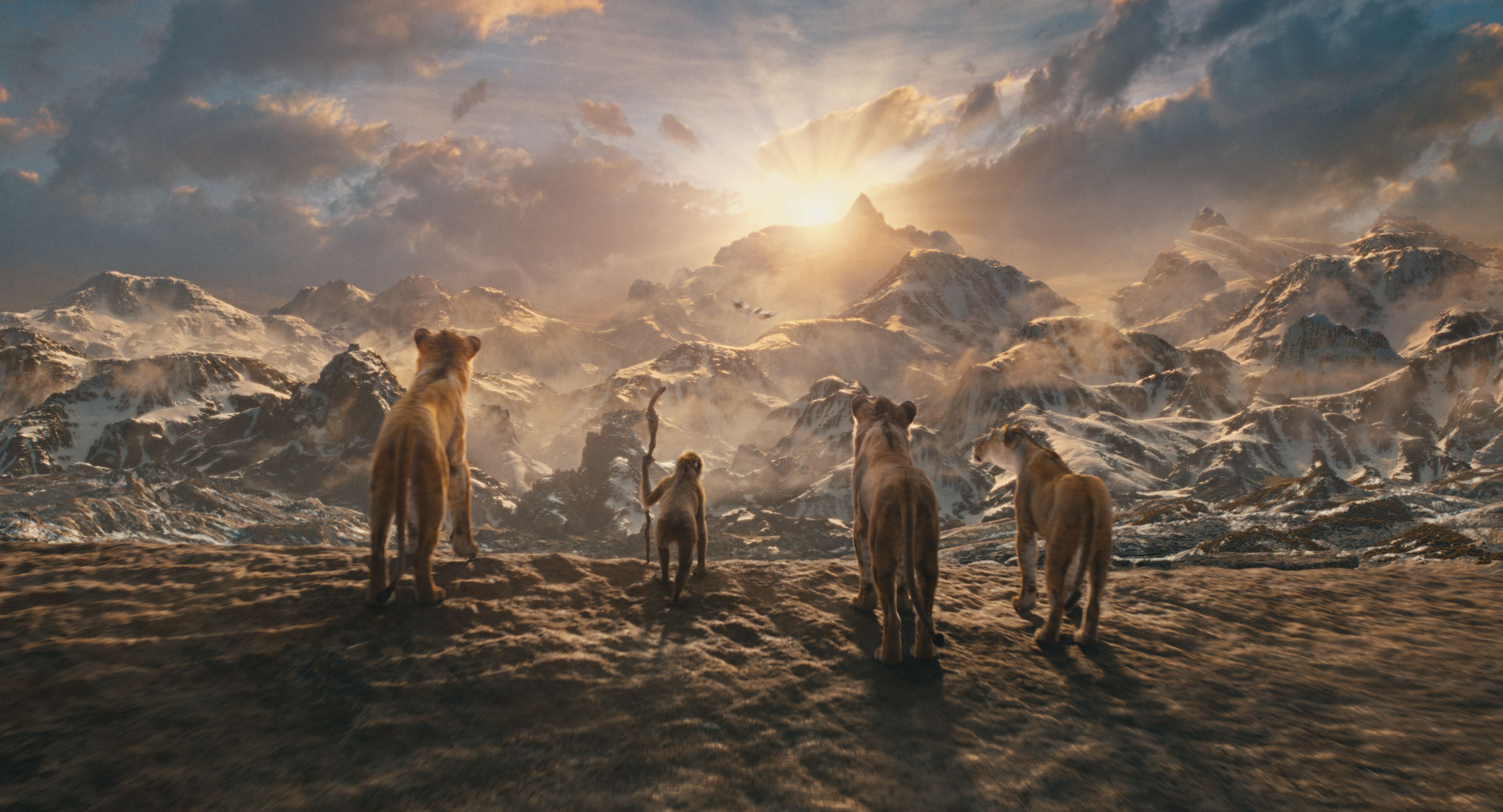 director of mufasa the lion king
