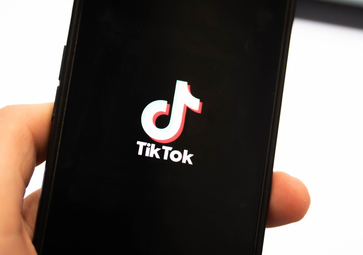 TikTok explainer