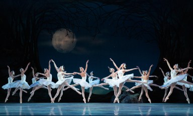 Swan Lake, things to do in Philly