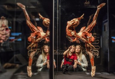 Body Worlds, things to do in Philly