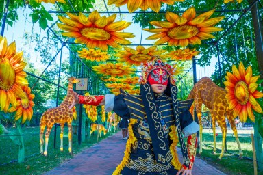 Chinese Lantern Festival