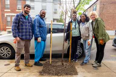 PHS volunteer tree