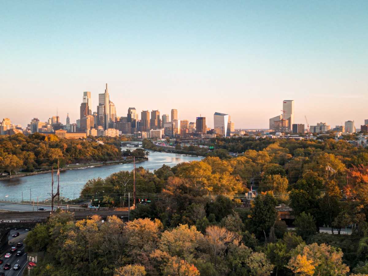 Federal Philly trees