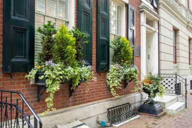 window box garden