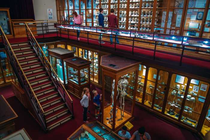 Mütter Museum