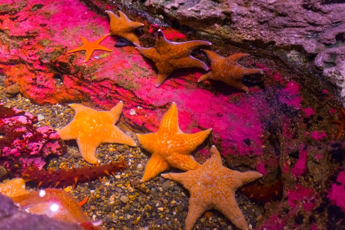 Kaleidoscope Cove