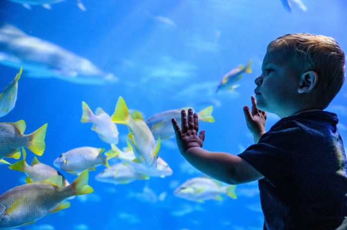 Kaleidoscope Cove, things to do in Philly