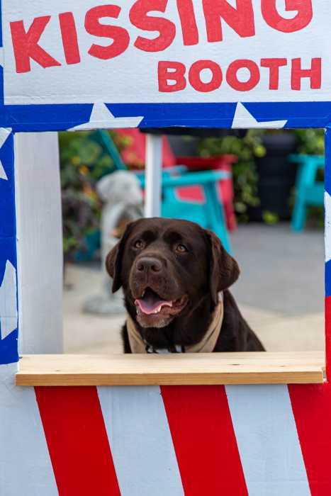 National Dog Month