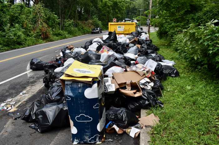 strike trash District Council 33