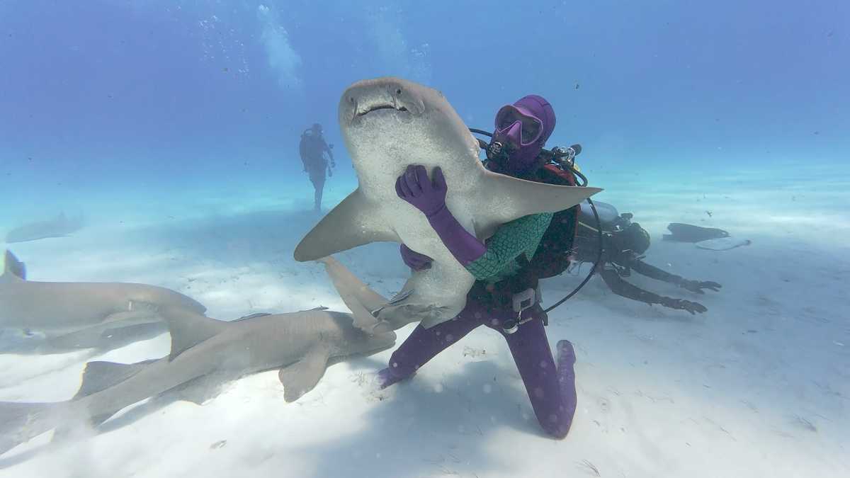 Shark Week 2025 Kinga Phillips