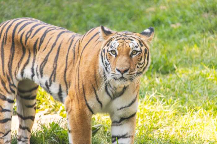 Philadelphia Zoo