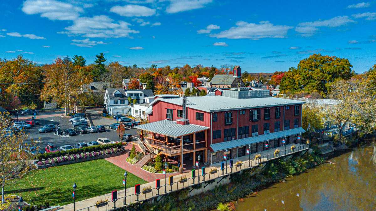 fall foliage